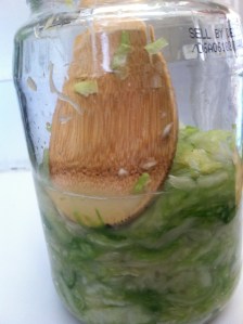Sourkraut3